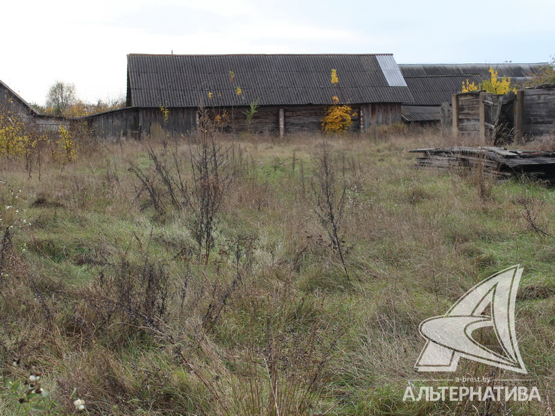  17.19сот., Малоритский р-н (Луковский с/с)