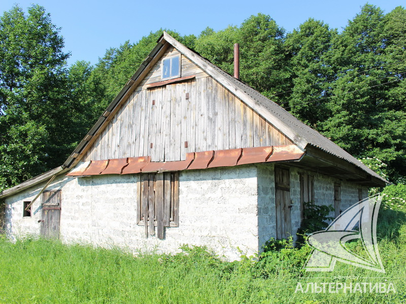  (участок 25 сот.), Каменецкий р-н