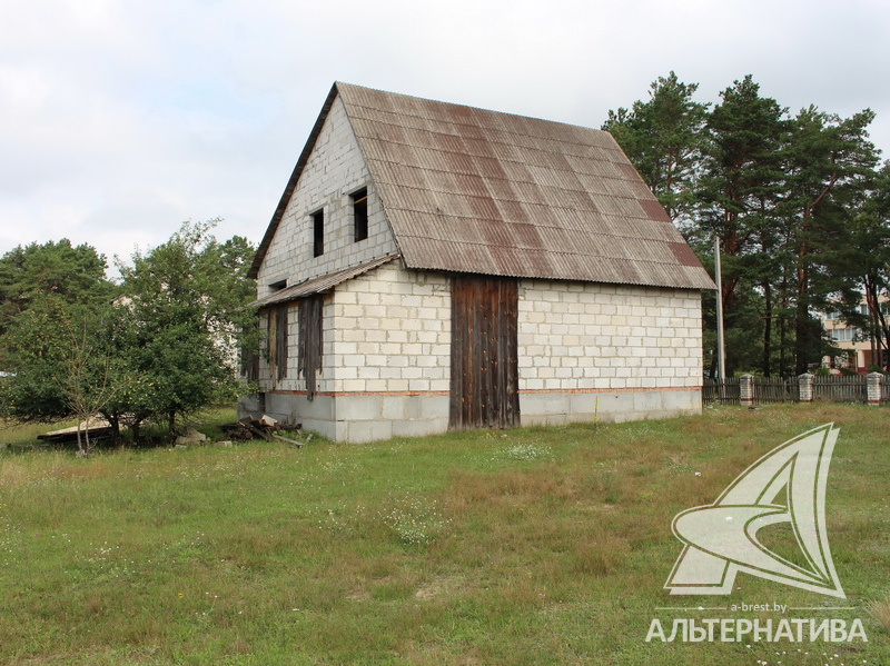  119.1кв.м. (участок 25 сот.), Брестский р-н