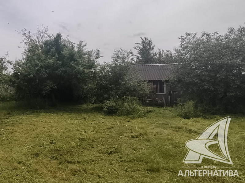  6сот., Брестский р-н (Чернинский с/с)