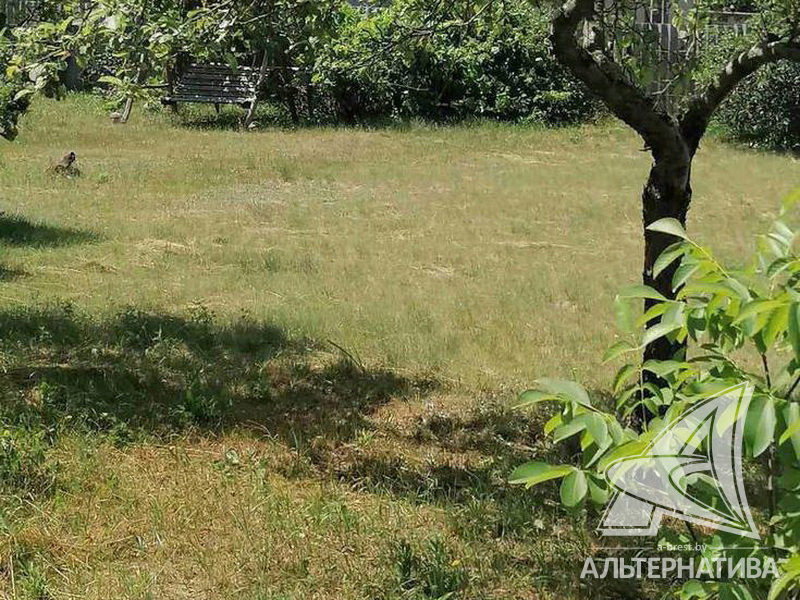 8.2сот., Брестский р-н (Чернавчицкий с/с)