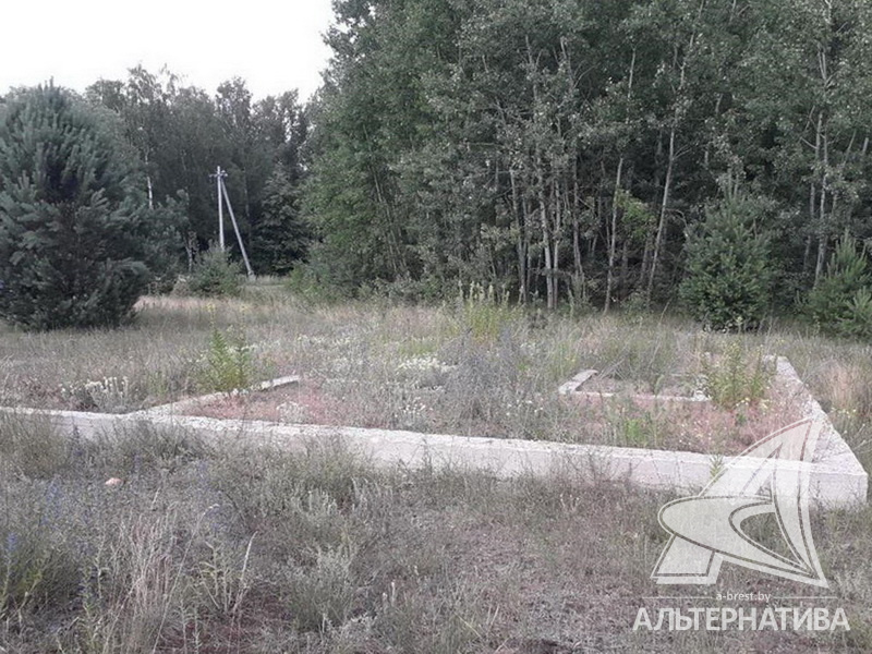  20.37сот., Брестский р-н (Домачевский с/с)