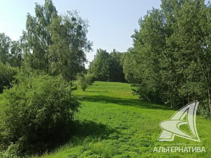  кв.м. (участок 25 сот.), Малоритский р-н