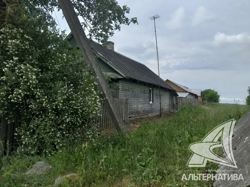  49.6кв.м. (участок 25 сот.), Каменецкий р-н
