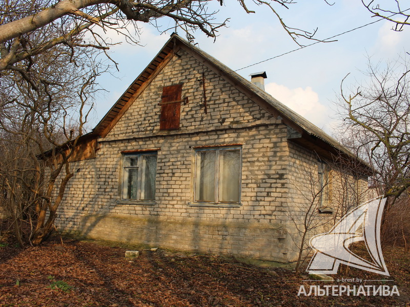  64.7кв.м. (участок 25 сот.), Брестский р-н
