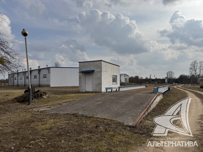  1460.1м.кв. Малоритский