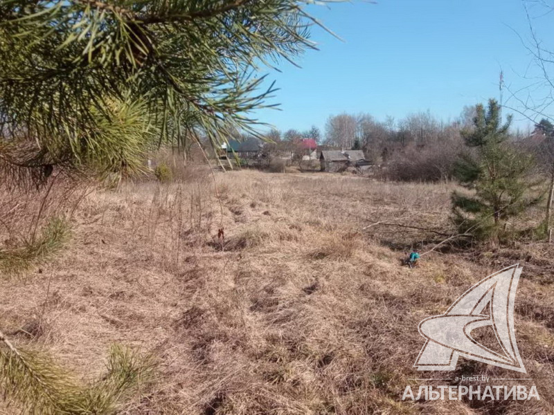  25.52сот., Брестский р-н (Клейниковский с/с)