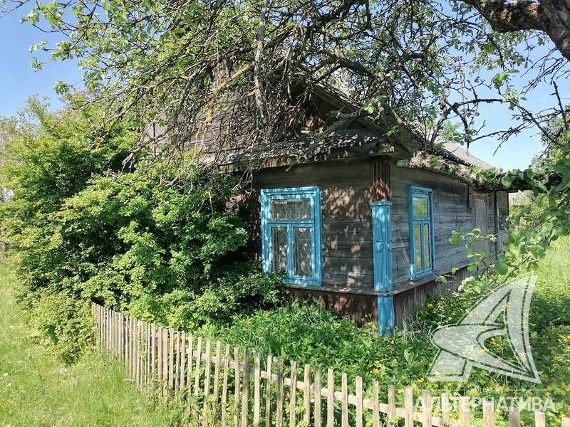  43.7кв.м. (участок 25 сот.), Брестский р-н