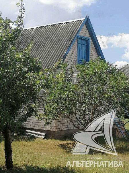  8.2сот., Брестский р-н (Чернавчицкий с/с)