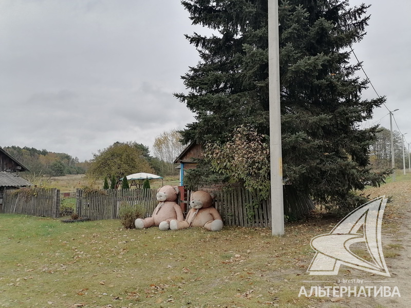  79.1кв.м. (участок 25 сот.), Брестский р-н