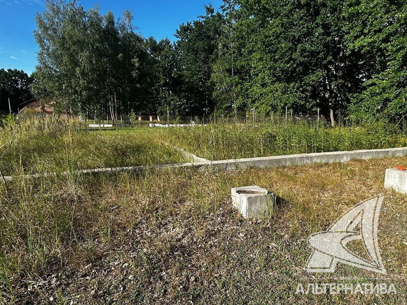  9.56сот., Жабинковский р-н (Ракитницкий с/с)