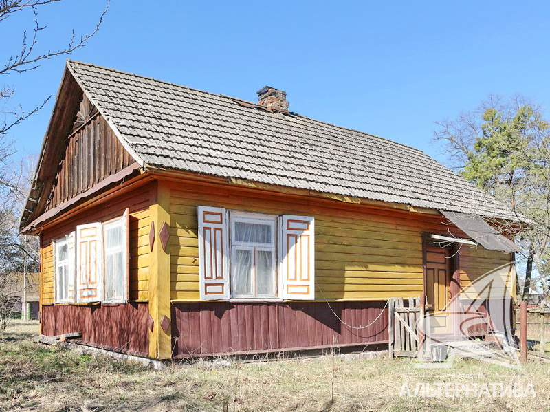 Фото пруда в деревне