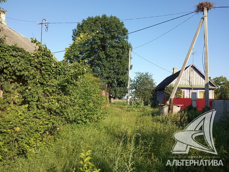 24.97сот., Брестский р-н (Чернавчицкий с/с)