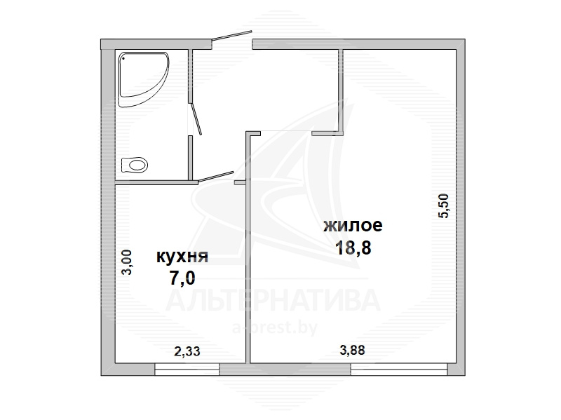  33.7кв.м., комнат 1, г. Брест (ЦЕНТР)