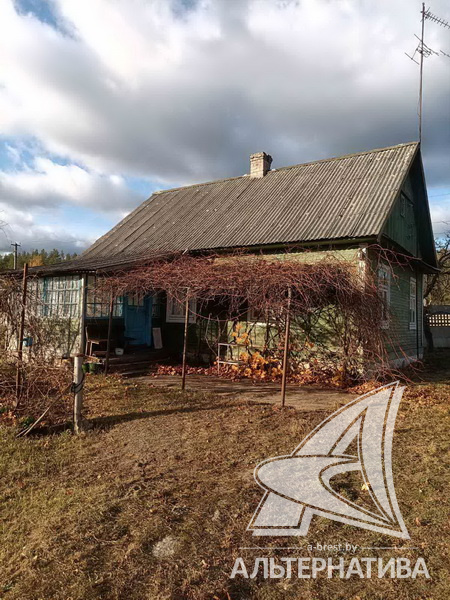  68.4кв.м. (участок 25 сот.), Каменецкий р-н
