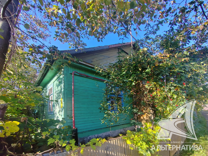  48.3кв.м. (участок 1.92 сот.), Каменецкий р-н