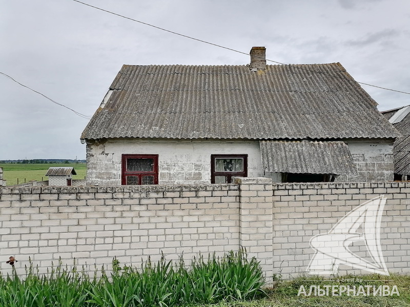  53.7кв.м. (участок 20.86 сот.), Брестский р-н