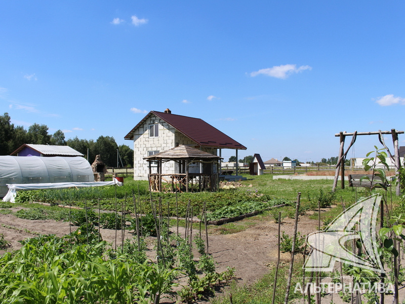  20.4сот., Брестский р-н (Радваничский с/с)