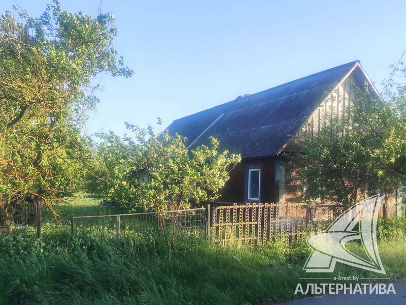  24.98сот., Каменецкий р-н (Видомлянский с/с)