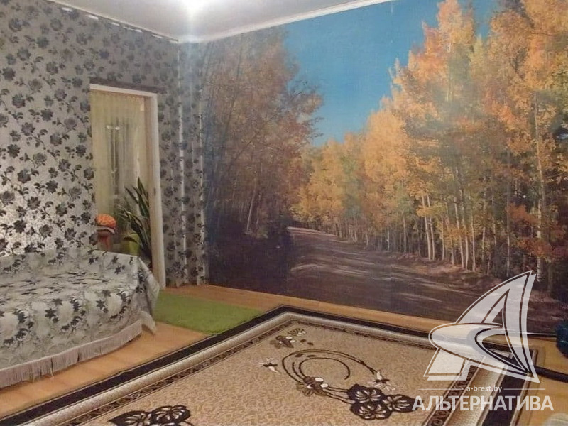  101.3кв.м. (участок 8.97 сот.), Каменецкий р-н