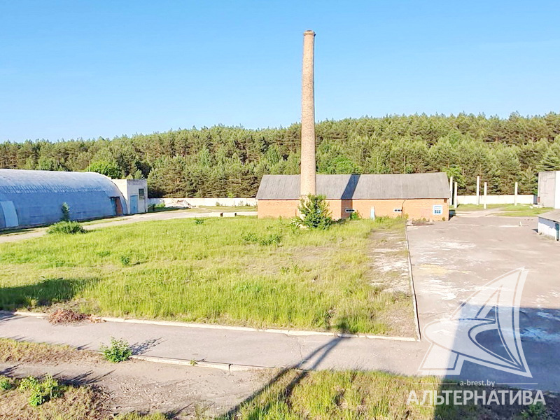  3597.3м.кв. Пружанский