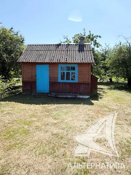  45.1кв.м. (участок 25 сот.), Брестский р-н