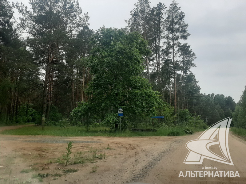  6сот., Брестский р-н (Радваничский с/с)
