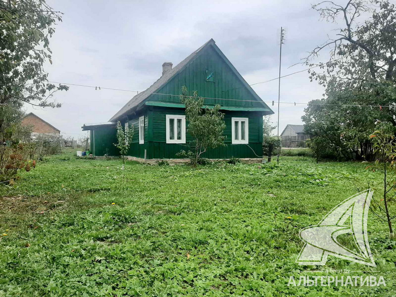  54.1кв.м. (участок 17.3 сот.), Брестский р-н