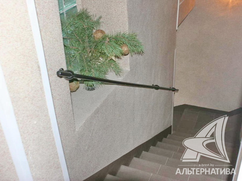  546.8кв.м. (участок 55.55 сот.), Брестский р-н