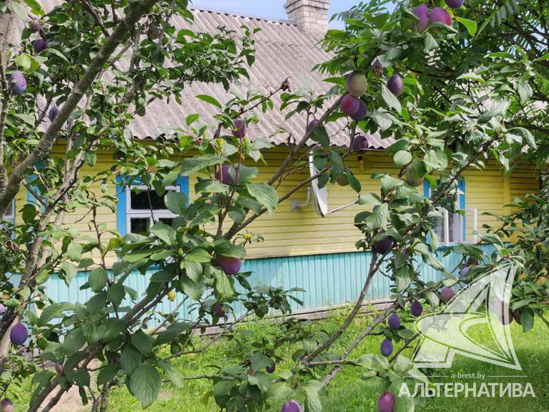  74.6кв.м. (участок 24.82 сот.), Малоритский р-н