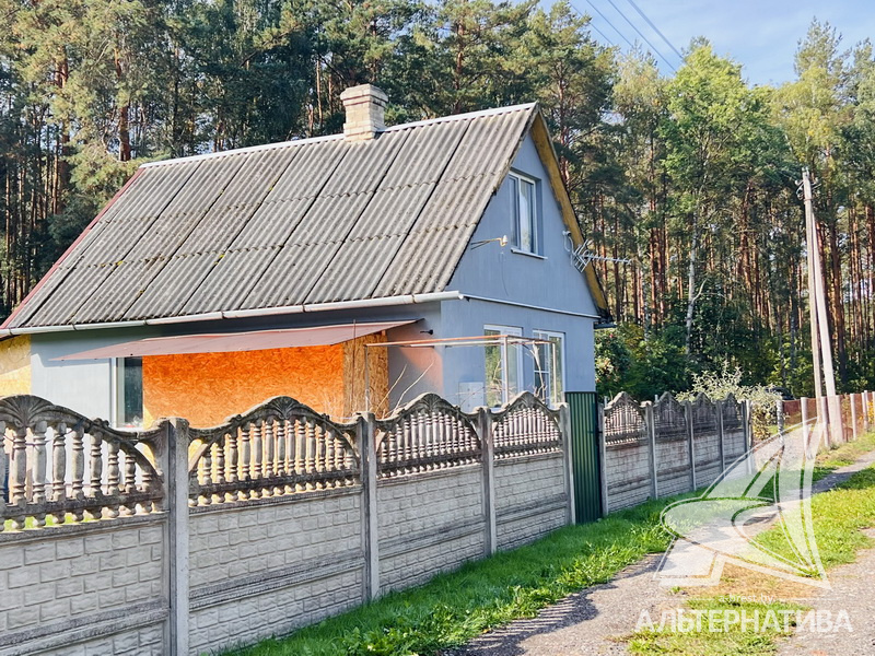  47.2кв.м. (участок 10 сот.), Брестский р-н