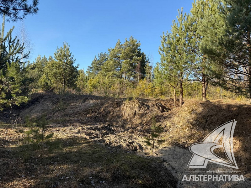  6.04сот., Жабинковский р-н (Жабинковский с/с)
