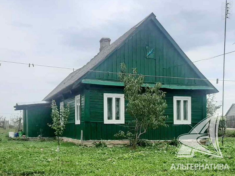  54.1кв.м. (участок 17.3 сот.), Брестский р-н