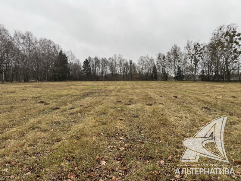  955.7м.кв. (участок 381.86сот.), Каменецкий