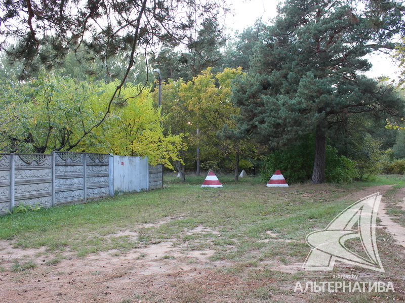  223.5кв.м. (участок 25 сот.), Брестский р-н