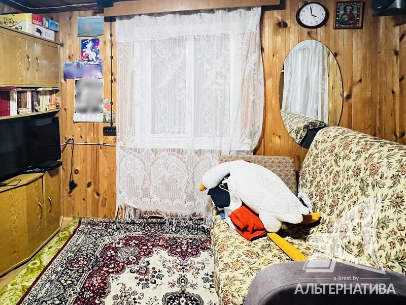  19.1кв.м. (участок 5 сот.), Брестский р-н