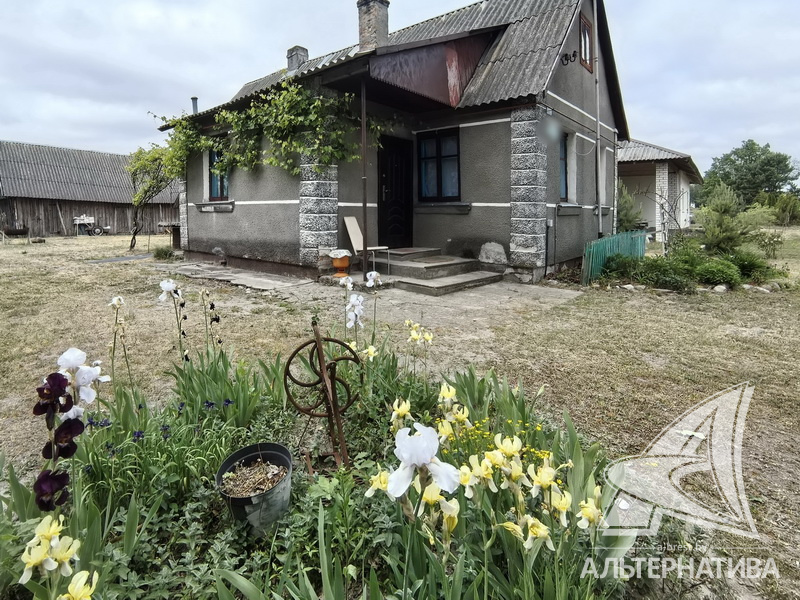  64.9кв.м. (участок 25 сот.), Брестский р-н
