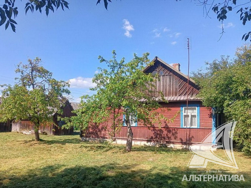  48.4кв.м. (участок 19.99 сот.), Малоритский р-н