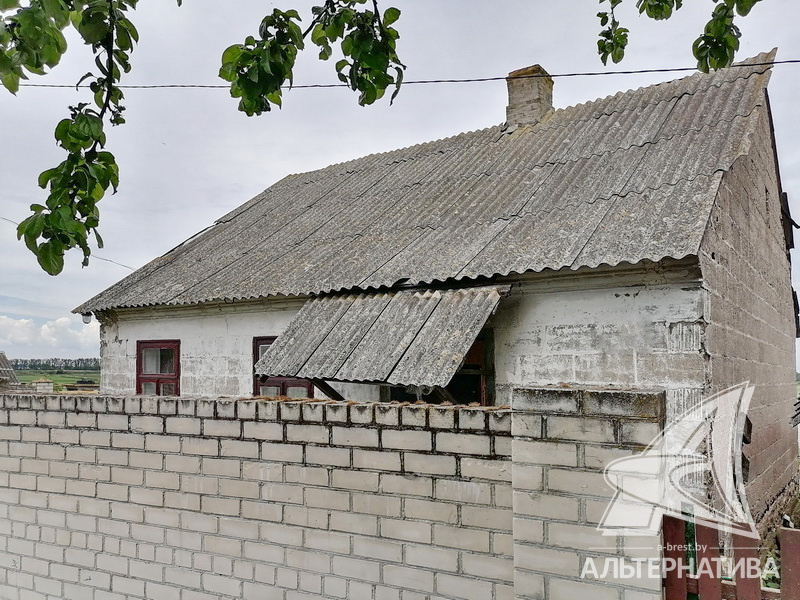  53.7кв.м. (участок 20.86 сот.), Брестский р-н