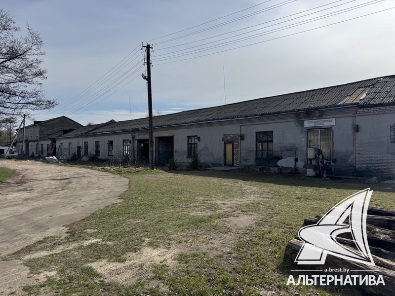  346.1м.кв. Жабинковский