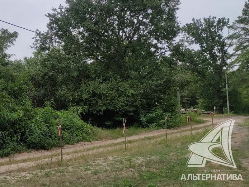  25сот., Брестский р-н (Домачевский с/с)