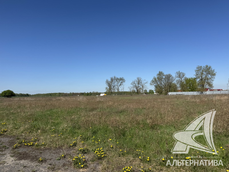  506.19сот., Кобринский р-н (Хидринский с/с)