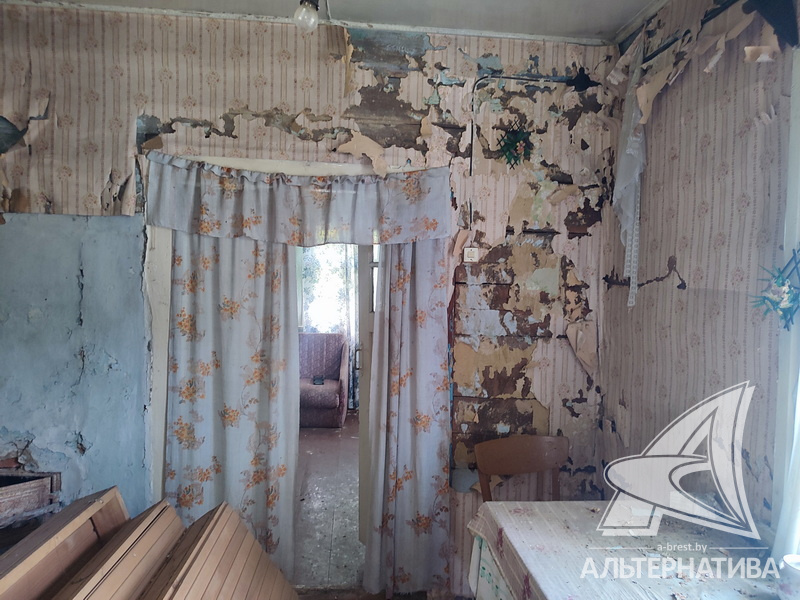  51.1кв.м. (участок 21 сот.), Брестский р-н