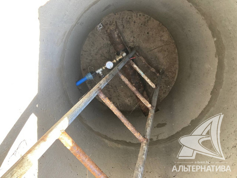  43.6кв.м. (участок 25 сот.), Каменецкий р-н