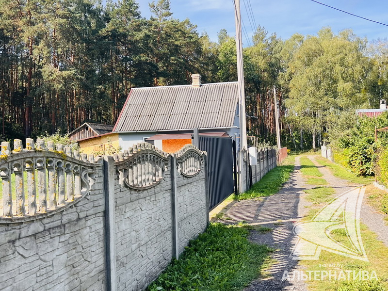  47.2кв.м. (участок 10 сот.), Брестский р-н