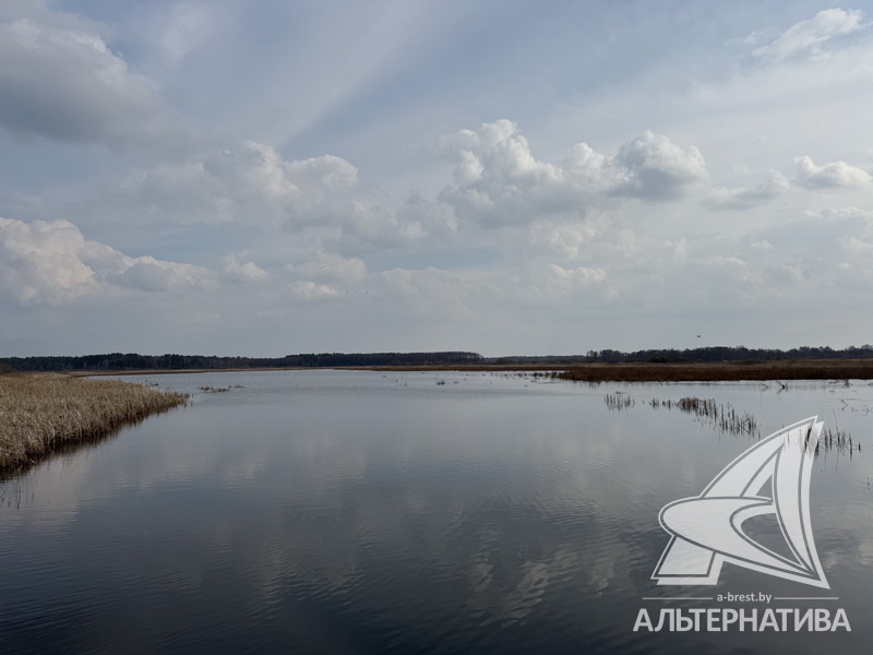  1460.1м.кв. Малоритский
