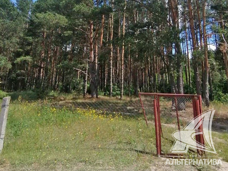  8.2сот., Брестский р-н (Чернавчицкий с/с)