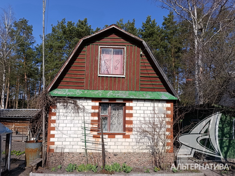  36.9кв.м. (участок 4.19 сот.), Брестский р-н