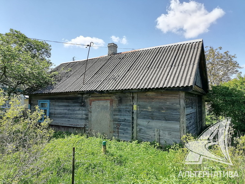  43.7кв.м. (участок 25 сот.), Брестский р-н