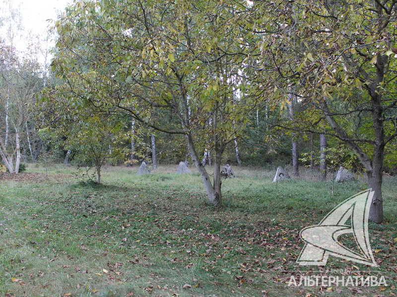  223.5кв.м. (участок 25 сот.), Брестский р-н